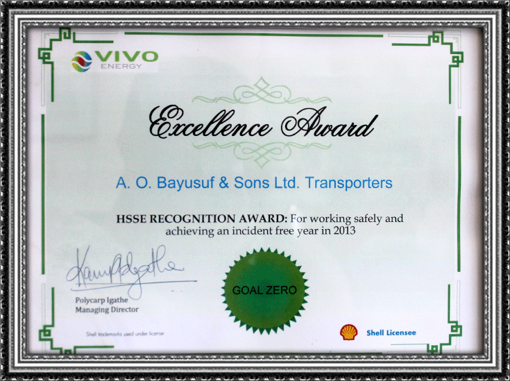 Vivo Excellence Award